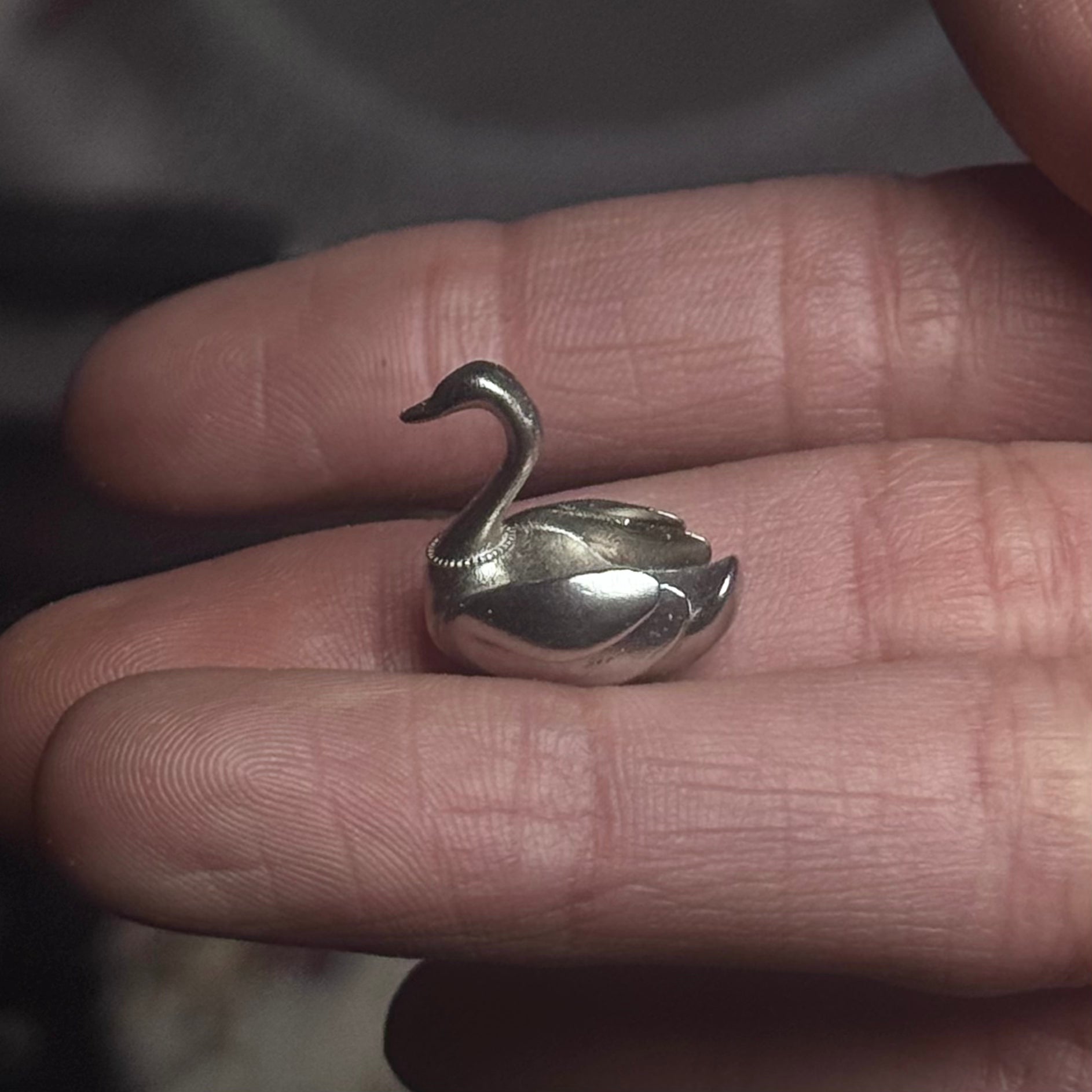 Tiny Metal Swan