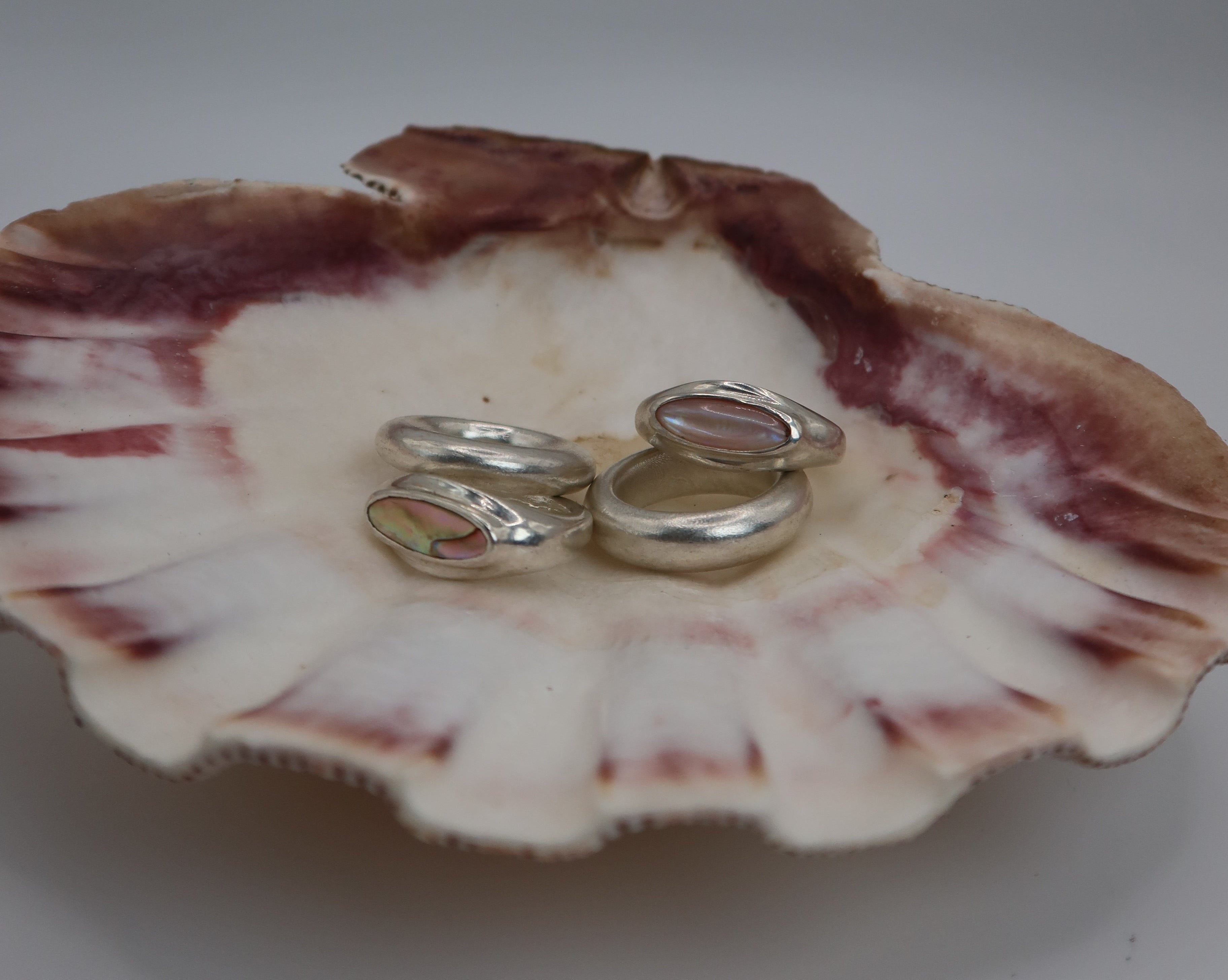 Silver ring on a white and pink shell against a plain background